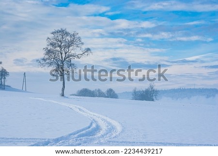 Solitary tree and tracks in the snow in a wintery landscape, exemplified here by the Swabian Alb near Muensingen, Baden-Wurttemberg, Germany.