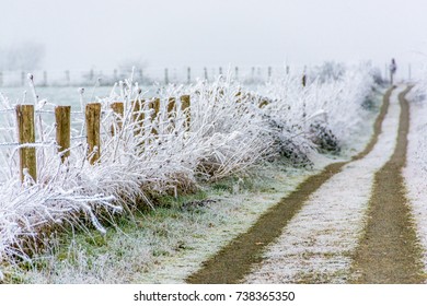 A solitary walker approaches on a frosted dirt road - Powered by Shutterstock