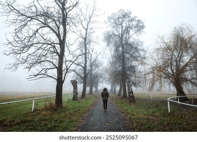 Solitary woman standing in a foggy landscape, evoking feelings of loneliness and detachment - Powered by Shutterstock