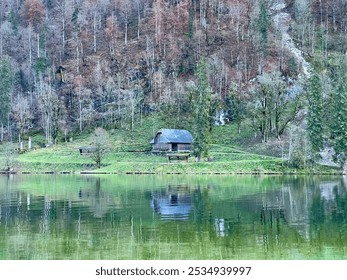 A solitary wooden cabin overlooks the shoreline of Königssee lake, surrounded by tall pine forests and majestic mountains, creating a serene and picturesque alpine scene. - Powered by Shutterstock