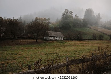 A solitary wooden house nestled in a misty, forested valley. The scene evokes a sense of tranquility and isolation, with the fog swirling around the trees and the house.  Carpathian Mountains, Romania - Powered by Shutterstock