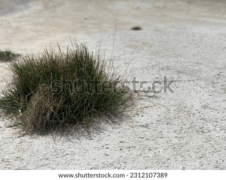 Similar – Image, Stock Photo green ways (1) Pave Furrow