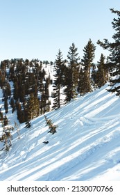 Solitude Mountain Resort In Solitude, Utah