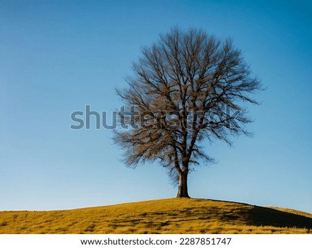 Solitude and strength personified - a lone tree stands tall in the center of a vast field, surrounded by nothing but open sky and gentle rolling hills.