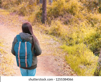solo backpack and camping concept from backside of long hair woman in warm hoodie sweatshirt with her bag solo travel, relax, happy  and see to forest and mountain in morning after sunrise