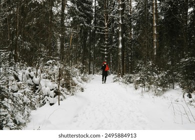 Solo Hiker in Snowy Forest - Winter Adventure in Nature - Powered by Shutterstock