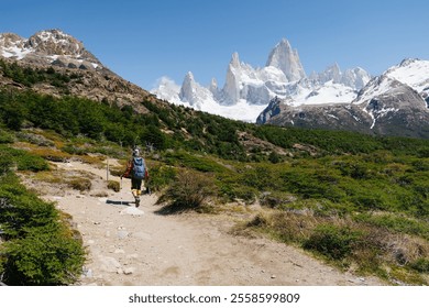 Solo hiker walking along a rocky trail surrounded by greenery in Patagonia, with the iconic Fitz Roy peak and snow-capped mountains towering in the distance under a bright blue sky - Powered by Shutterstock