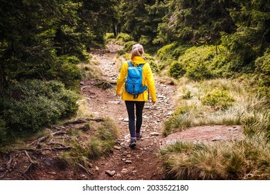 Solo hiker walking on trekking trail in forest. Woman with yellow jacket and backpack hiking in woodland. Sports active lifestyle