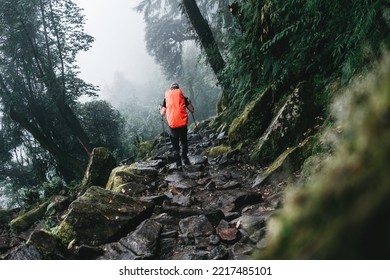 Solo hiker wearing professional backpack covered rain protect walk across foggy jungle mountain. Young tourist traveling along rocky forest trek - Powered by Shutterstock