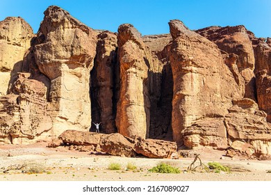 Solomon pillars of Timna park. They were formed naturally by erosion of hard red sandstone. Magnificent sandstone multi-colored rocks. The resort of Eilat. Israel. Hot November day. 