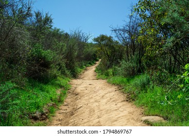 Solstice Canyon Daytime Hiking Trail 