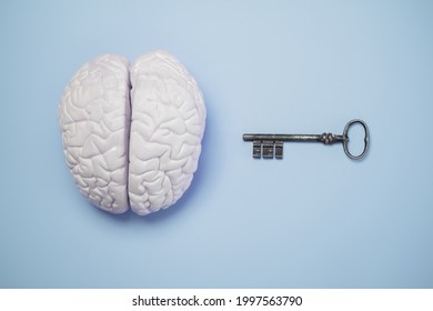 Solution to the human brain concept with old key