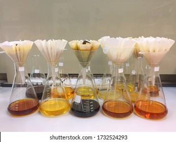 Solvent Extraction From Herb Or Fungi By Using Filter Paper In The Glass Funnel  To The Liquid Flow Into Erlenmeyer Flask