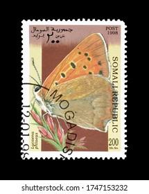 SOMALI REPUBLIC - CIRCA 1998 : Cancelled Postage Stamp Printed By Somali Republic, That Shows American Copper Butterfly, Circa 1998.