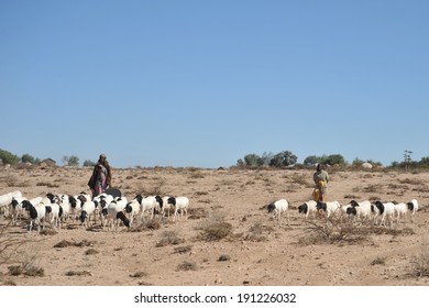 SOMALIA - JANUARY 13, 2010: In The Somali Village. Somaliland - An Unrecognized Self-declared State In The Northern Part Of The African Somali Peninsula. Much Of The Population Lives In Poverty.