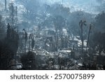 A somber view of homes burned to the ground by the Palisades Fire in the Pacific Palisades neighborhood of Los Angeles, California.