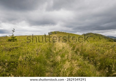 Somber wide angle view of a vast grassy meadow under a moody overcast sky in the wild highlands Generated By AI
