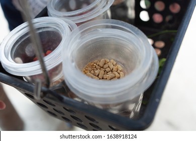 Some Bird Seed In Plastic Container With Black Basket