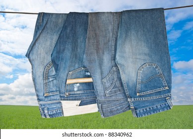 Some Blue Jeans Drying On Green Meadow In Sunny Day