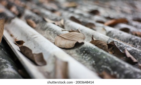 Some Brown Dry Leaves On A Asbestos Roof In A Backyard Of A House.