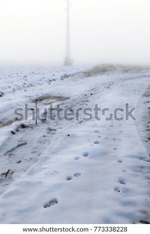 Similar – Foto Bild Winterfreuden Eis Frost