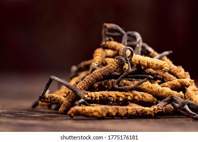 Some Chinese Caterpillar Fungus On The Table