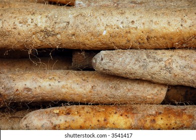 Some Chinese Yam