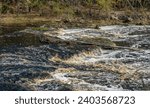 Some churning and whitewater is visible in the Suwannee River in Big Shoals State Park at a water level of 51 feet, but when it reaches around 60 feet it transforms into Class III Whitewater Rapids.