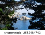 some cliffs on the Hualpen peninsula in southern Chile