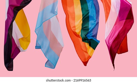 Some Different LGBTQIA Flags, Such As The Non-binary Pride Flag, The Transgender Pride Flag, The Gay Pride Flag, Or The Lesbian Pride Flag, On A Pink Background