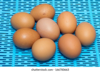 Some Eggs On The Table With Blue  Base