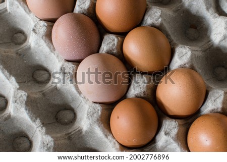 Some eggs put on egg tray with half capacity