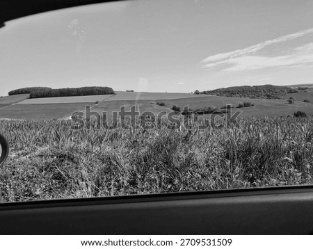 some fields and the nature 