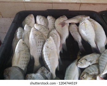 Some Fishes Sold At Wet Market