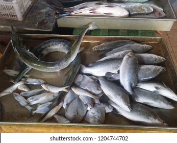 Some Fishes Sold At Wet Market