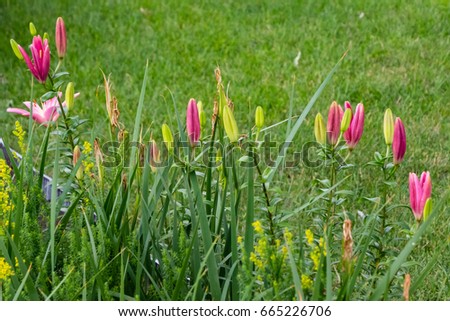 some have opened, some soon will and other bide their time view