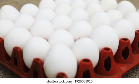 Einige gesunde weiße Eier in einem Plastikfach
