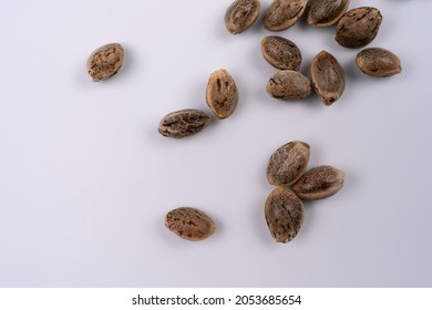 Some Hemp Seeds Spread Out On White Background Seen From Above. Small Group Of Hemp Seeds Spread Out And Isolated On White Background