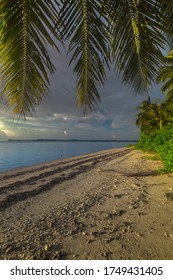 Some Leafs And Branches Of The Coconut Tree On The Mentawai Island Beach 