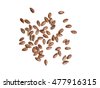 seeds isolated