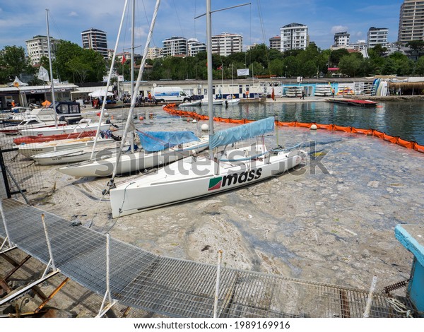 Some measures and cleaning works have started\
to combat the mucilage sea saliva that affects the Marmara Sea.\
Turkey istanbul marmara sea 8 June\
2021