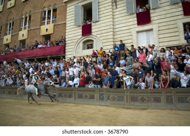 Some Moments Of The Horse Race Famous Around The World, Il Palio Di Siena. Slightly Motion Blur Gives The Sense Of Movement.