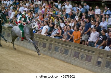 Some Moments Of The Horse Race Famous Around The World, Il Palio Di Siena. Slightly Motion Blur Gives The Sense Of Movement.