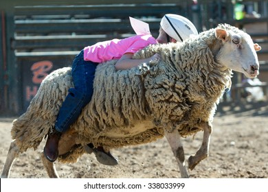 Some Mutton Busting At The Rodeo