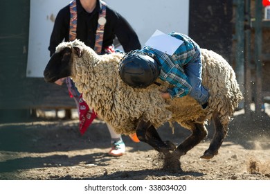 Some Mutton Busting At The Rodeo