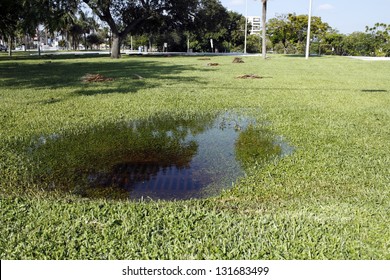 In Some Park Grass In Fort Lauderdale, Florida Is A Sewer Storm Drain Clogged With Water From A Recent Rain Storm On A Sunny Autumn Day.