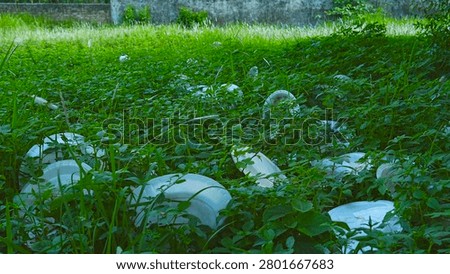 some plastic plats on grass . which shows how plastics cause our planet earth 