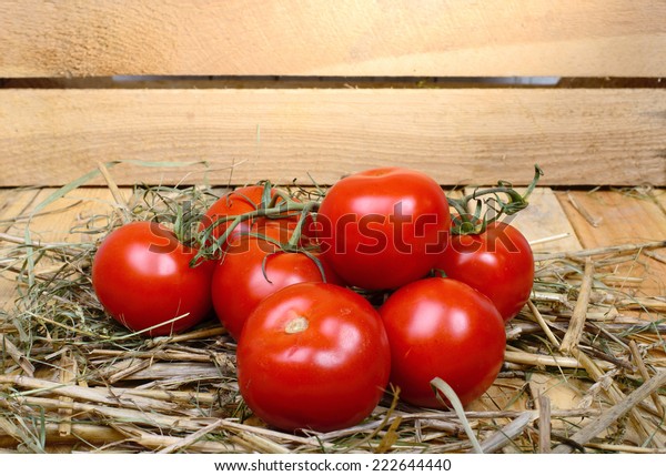 Some Red Tomatoes Old Barn Stock Photo Edit Now 222644440