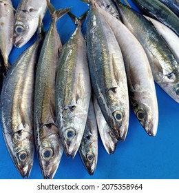 Some Sardines On A Blue Plastic Tarp Background