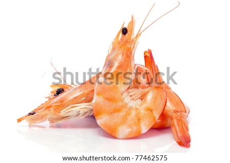 some shrimps on a white background